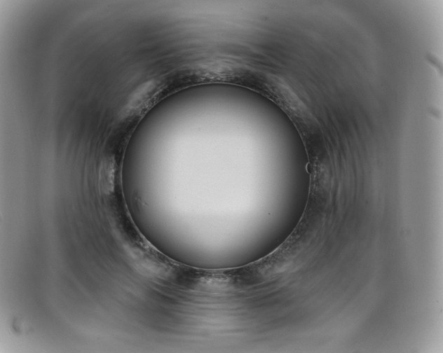 X0000099300694200805021231