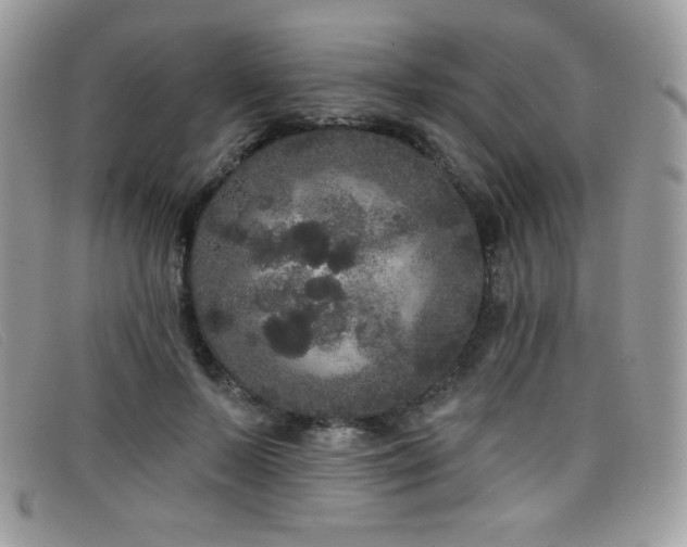 X0000099300695200805021231