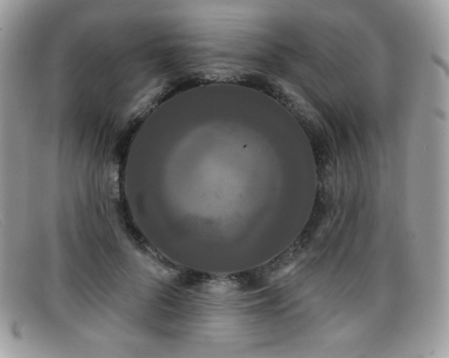 X0000099300696200805021231