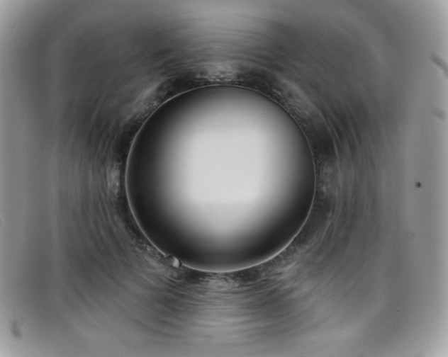 X0000099300697200805021231