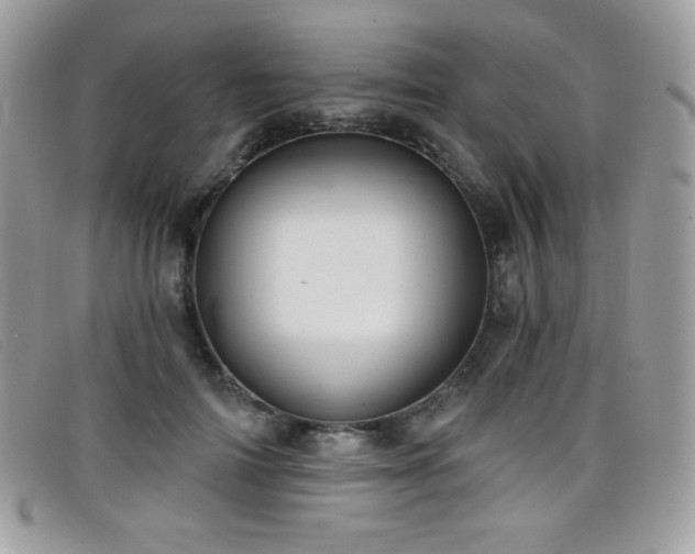 X0000099300698200805021231