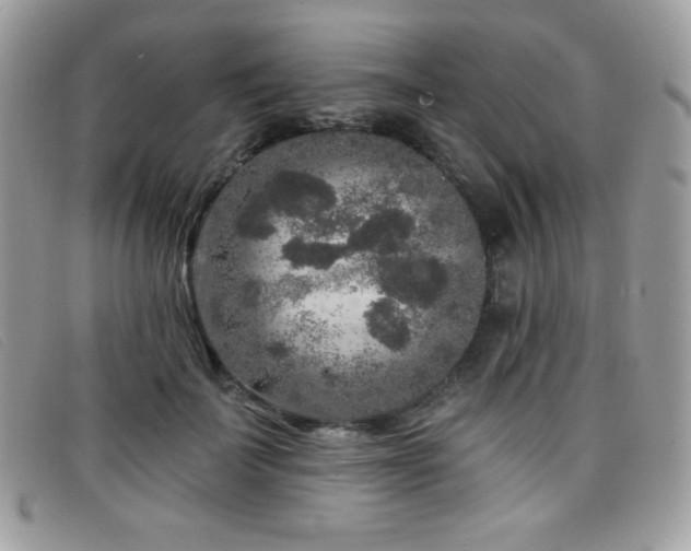 X0000099300699200805021231