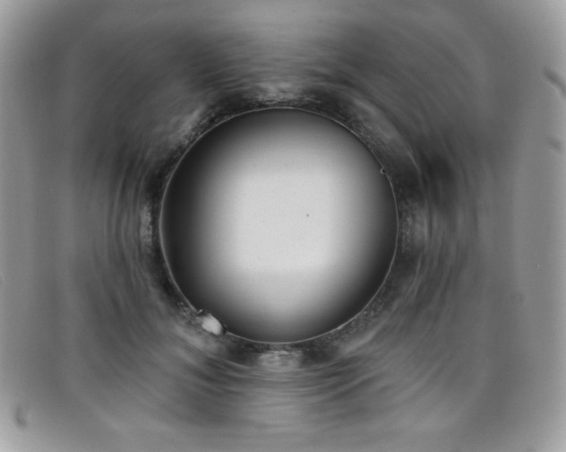 X0000099300700200805021231