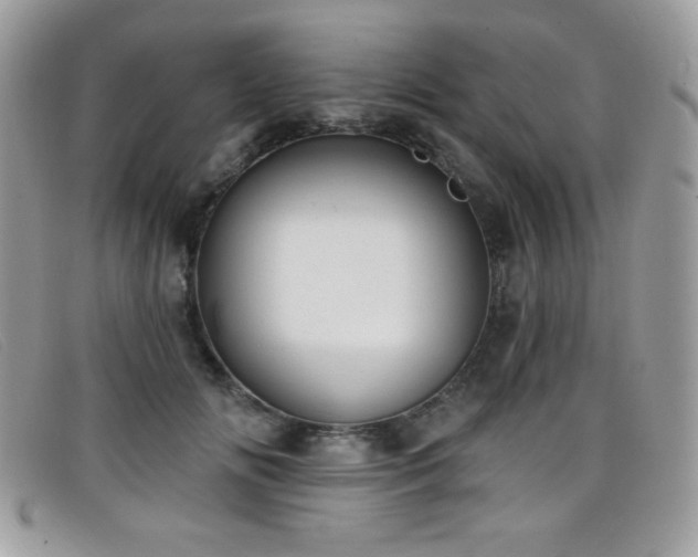 X0000099300702200805021231