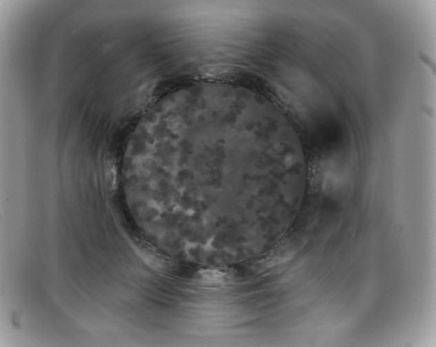 X0000099300703200805021231