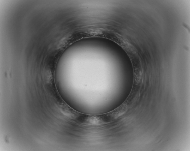 X0000099300704200805021231