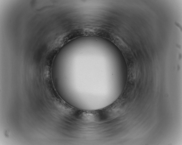 X0000099300706200805021231