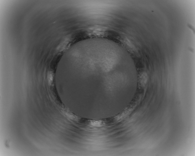 X0000099300709200805021231