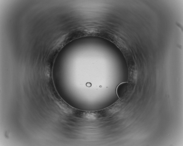 X0000099300710200805021231