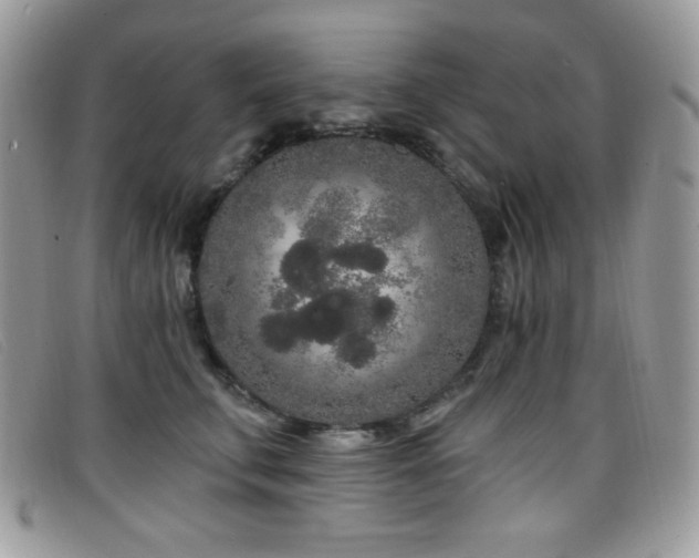 X0000099300711200805021231