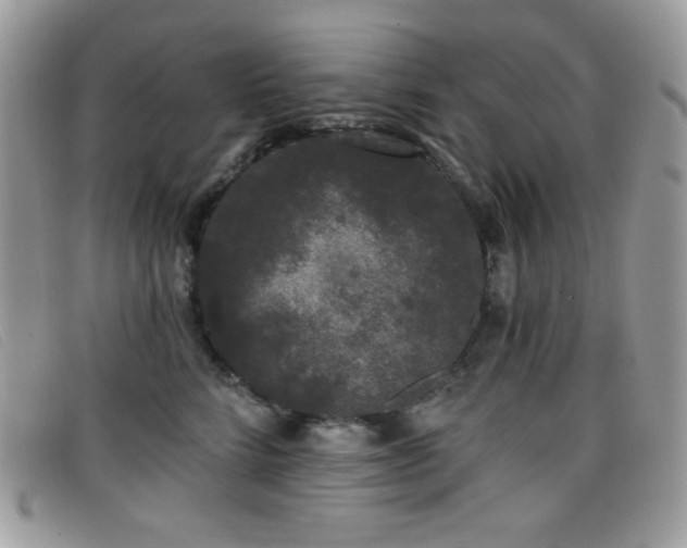 X0000099300712200805021231