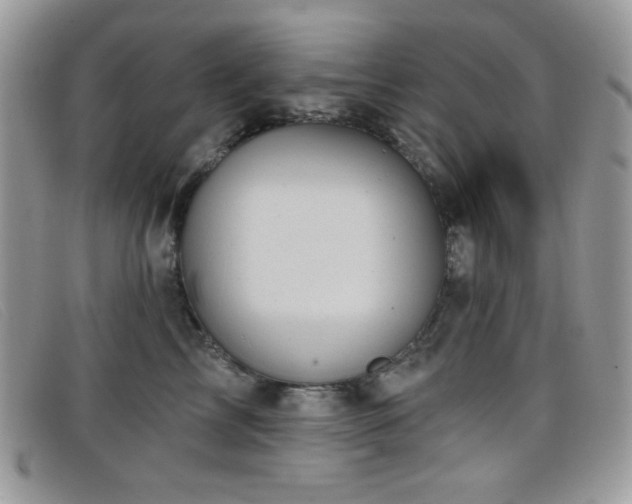 X0000099300713200805021231