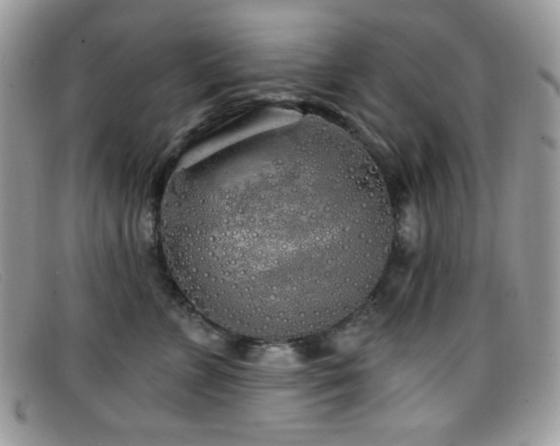 X0000099300715200805021231