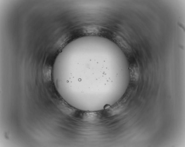 X0000099300717200805021231