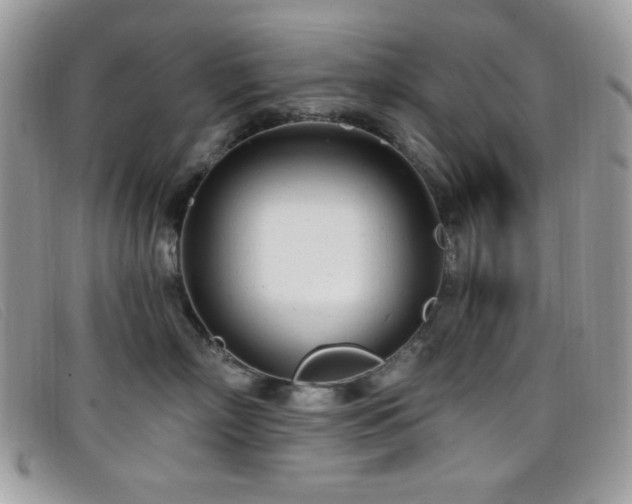 X0000099300718200805021231