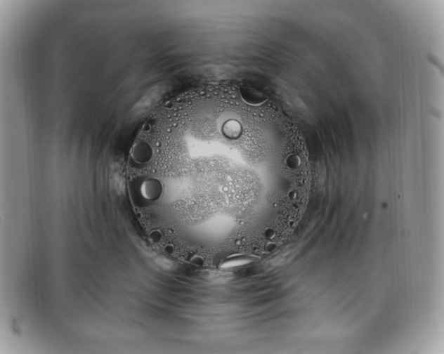 X0000099300719200805021231