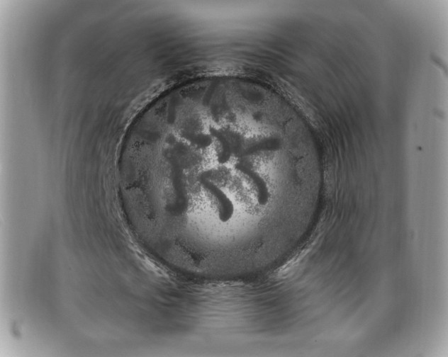 X0000099300721200805021230