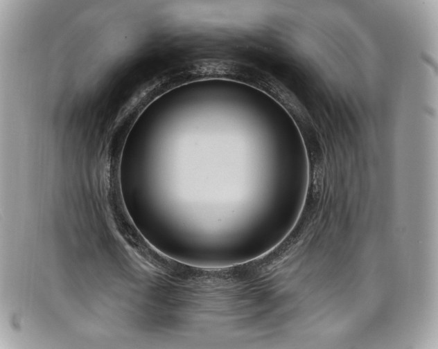 X0000099300722200805021230