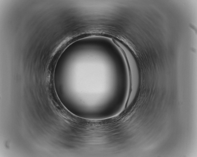 X0000099300723200805021230