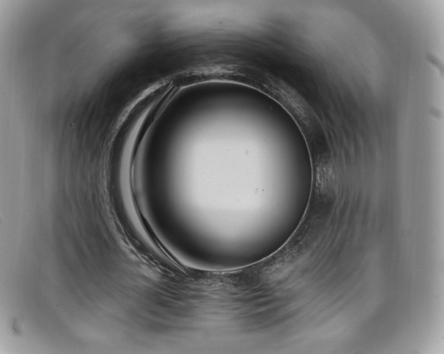 X0000099300724200805021230