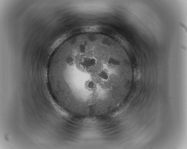 X0000099300725200805021230