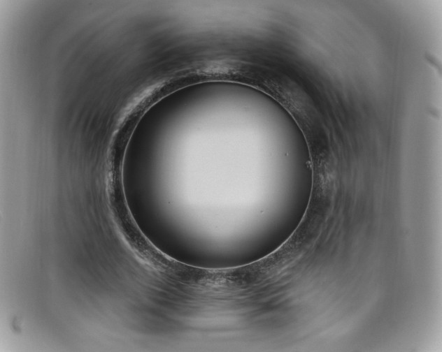 X0000099300728200805021230