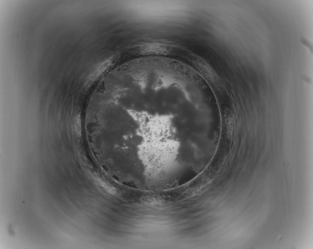 X0000099300729200805021230