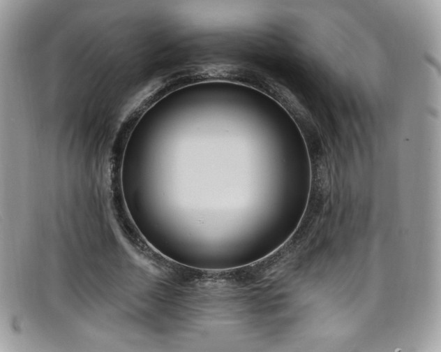 X0000099300730200805021230