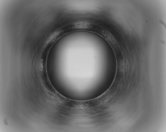 X0000099300731200805021230