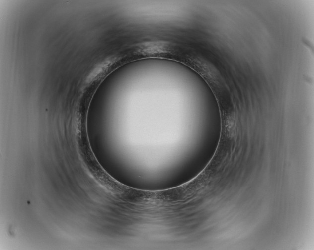 X0000099300732200805021230