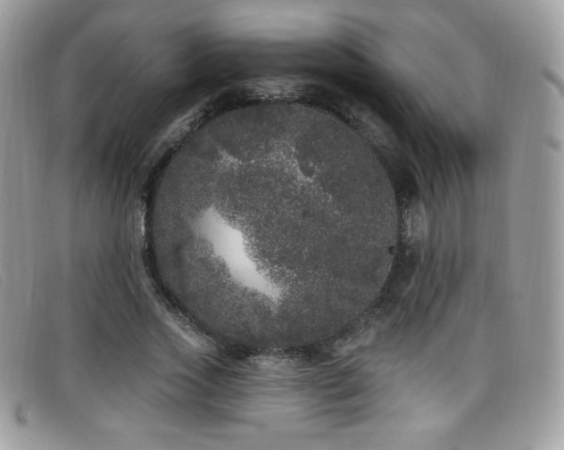 X0000099300733200805021230