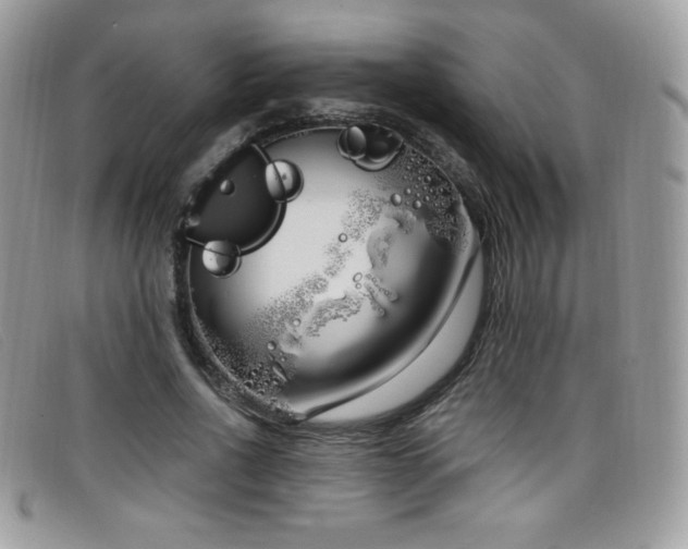 X0000099300734200805021230