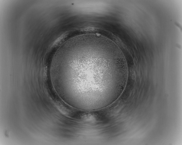 X0000099300735200805021230