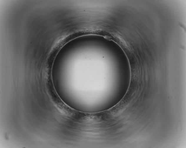 X0000099300736200805021230