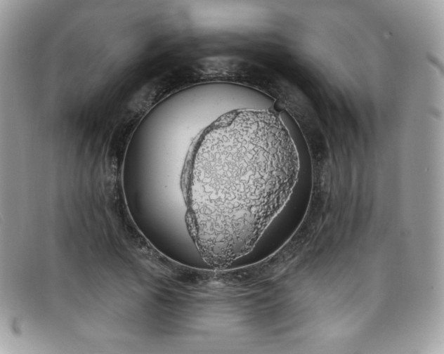 X0000099300737200805021230