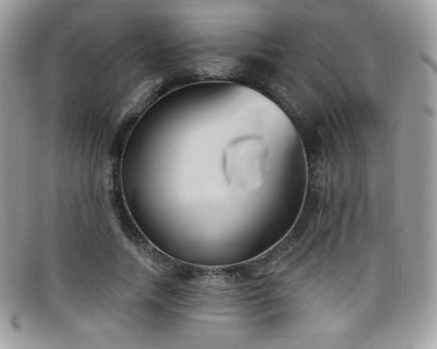 X0000099300738200805021230