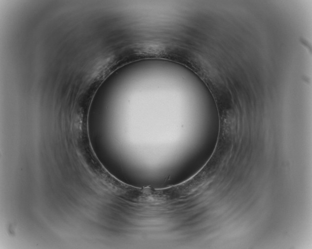 X0000099300739200805021231