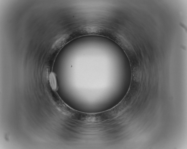 X0000099300740200805021231