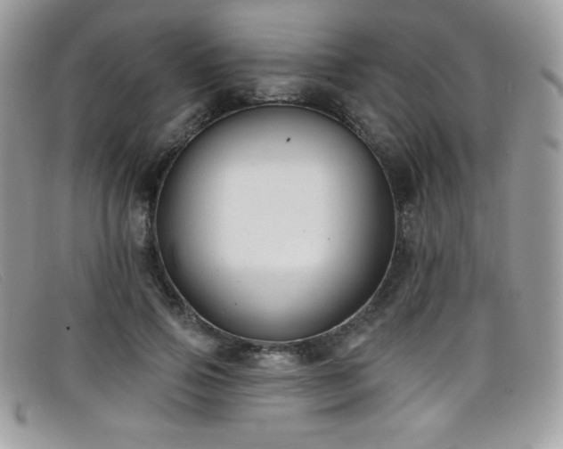 X0000099300741200805021231