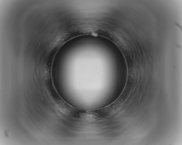 X0000099300743200805021231