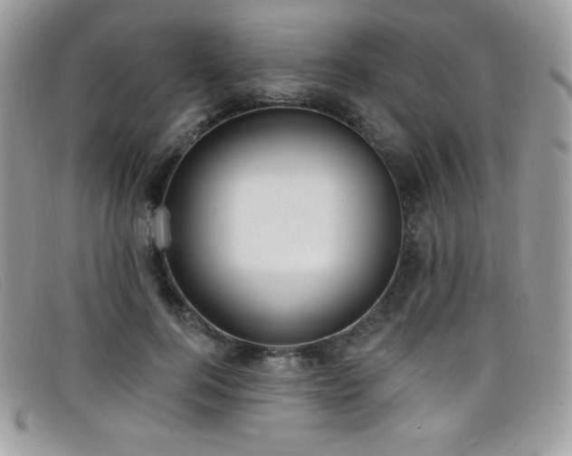 X0000099300744200805021231