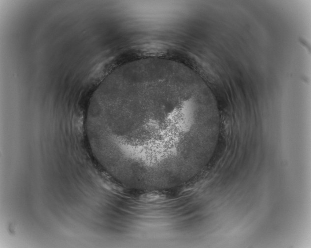 X0000099300745200805021231