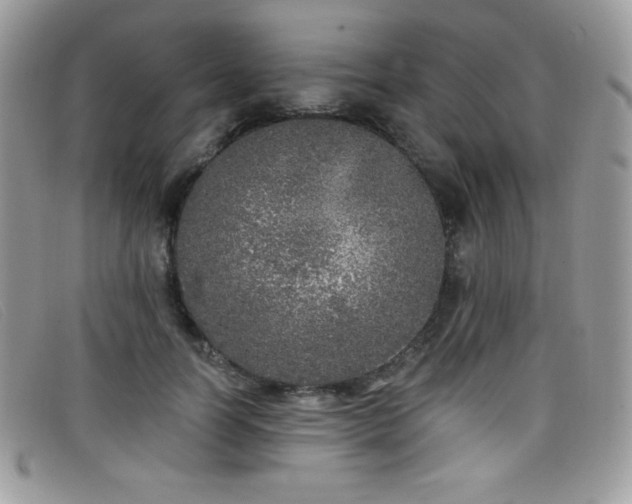 X0000099300746200805021231