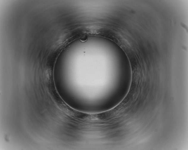 X0000099300747200805021231