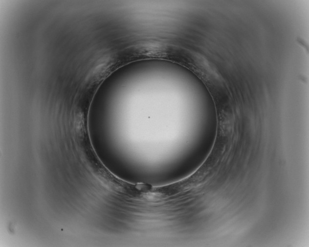 X0000099300748200805021231