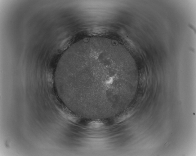 X0000099300749200805021231