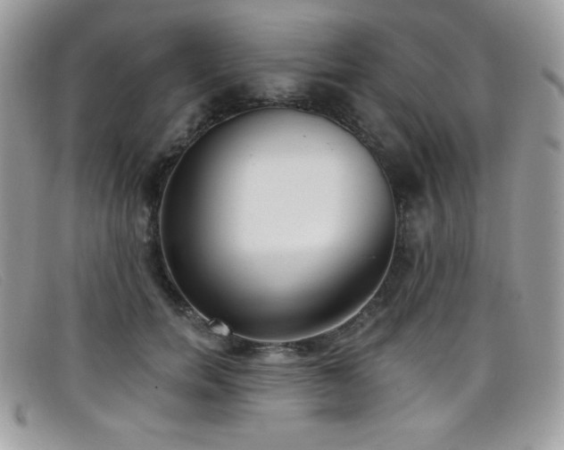 X0000099300750200805021231