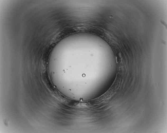 X0000099300751200805021231