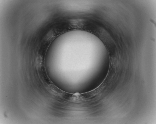 X0000099300752200805021231