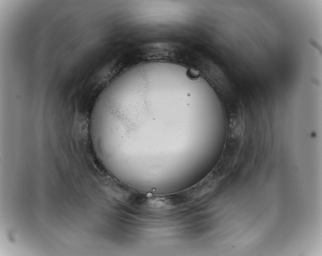 X0000099300753200805021231